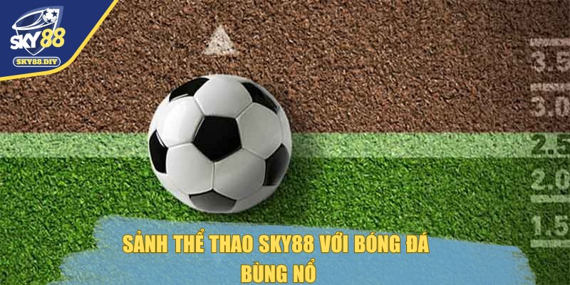 the-thao-sky88-bong-da