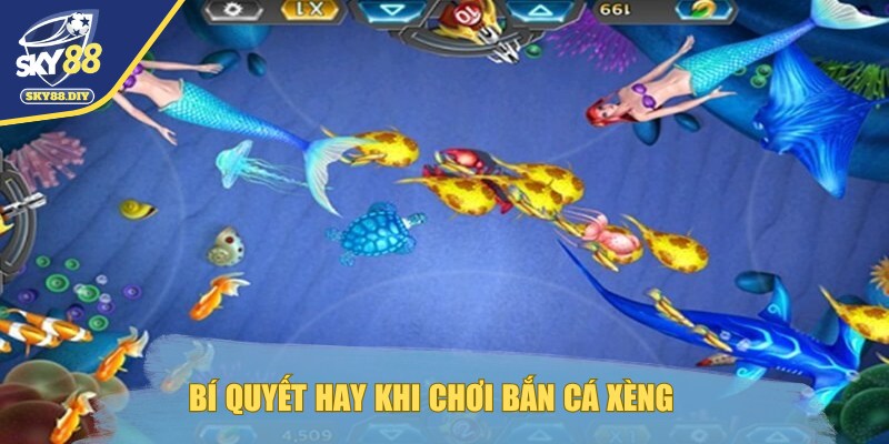 ban-ca-xeng-bi-quyet-choi