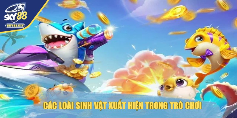 ban-ca-xeng-cac-loai-sinh-vat