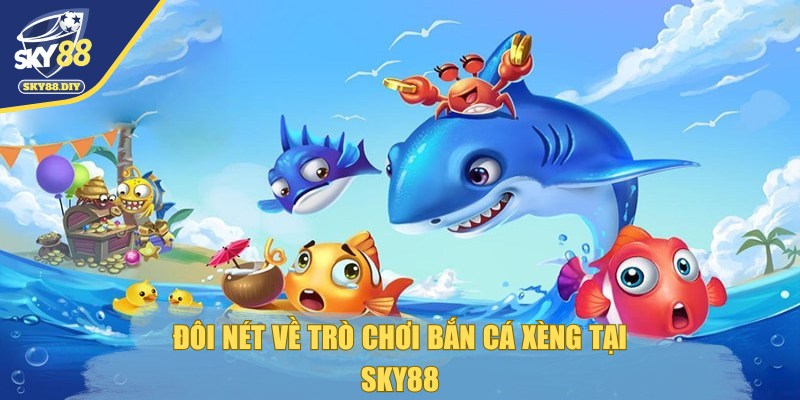 ban-ca-xeng-gioi-thieu-doi-net