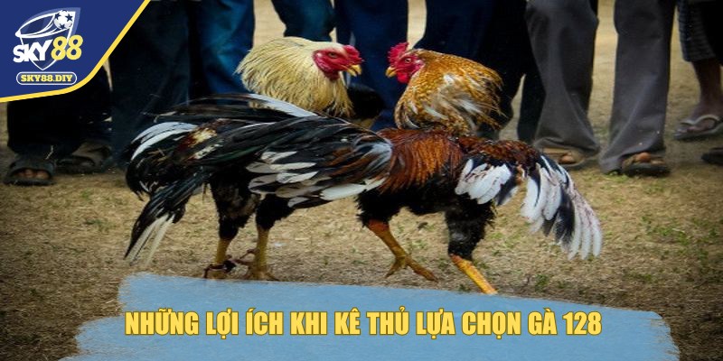 da-ga-128-nhung-loi-ich