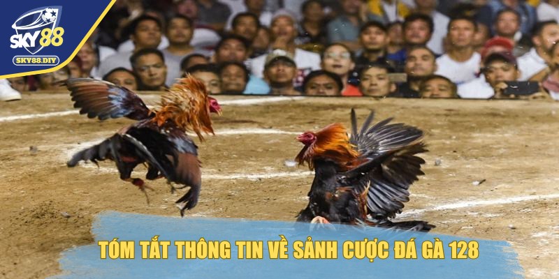 da-ga-128-tom-tat-thong-tin