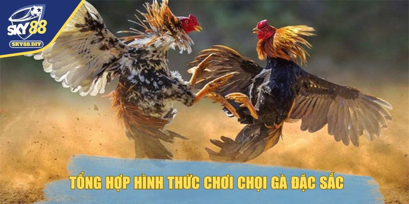 da-ga-128-tong-hop-hinh-thuc-choi-choi-ga