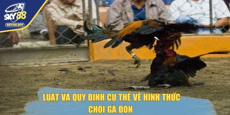 da-ga-don-luat-va-quy-dinh