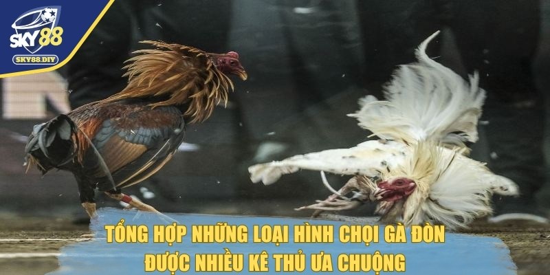 da-ga-don-nhung-loa-hinh-choi-ga