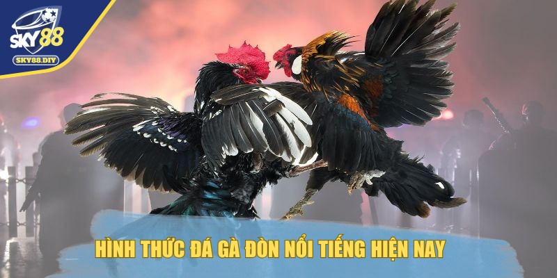 da-ga-don-tom-tat-thong-tin