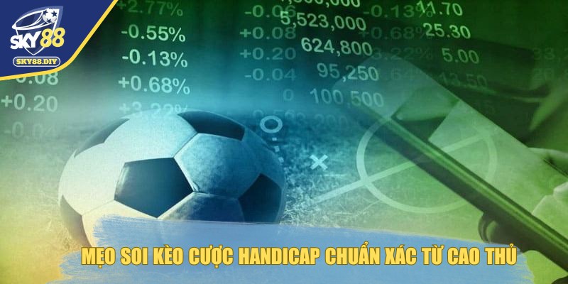 keo-handicap-meo-soi-keo-cuoc