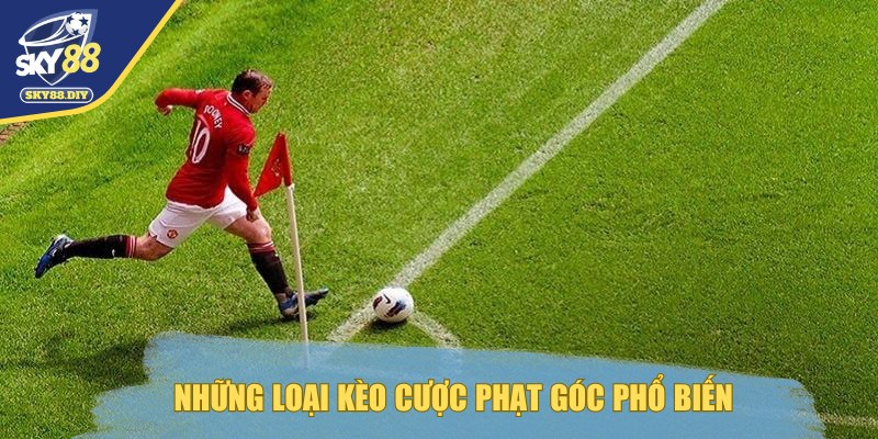 keo-phat-goc-tong-hop-nhung-keo-cuoc